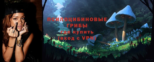 мескалин Туринск