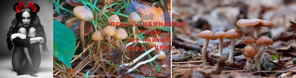 ALPHA PVP Саки