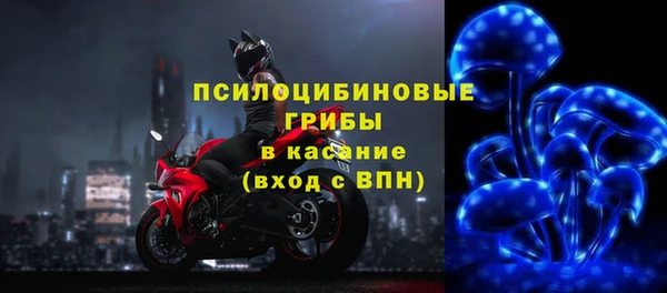 ешки Тутаев