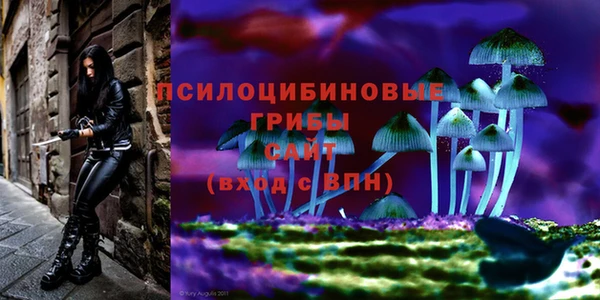 ешки Тутаев